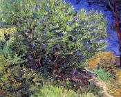 文森特 威廉 梵高 : 丁香